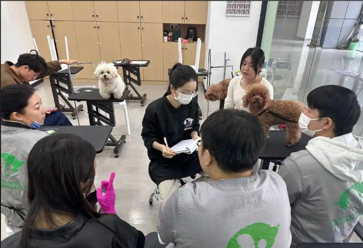 亳州市宠物美容培训宠物美容培训学校 - 价格